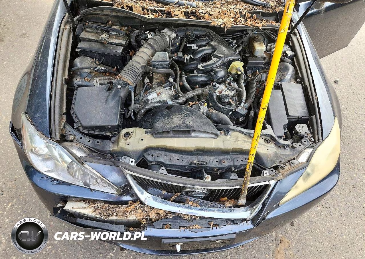2007 Lexus Is 250 VIN:JTHCK262372015679 - 11