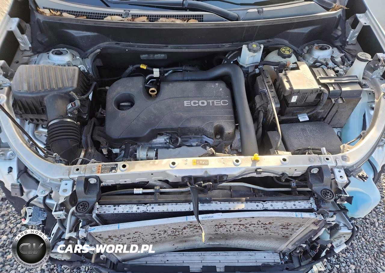 2019 Chevrolet Equinox Ls VIN:3GNAXHEV5KS640677 - 12
