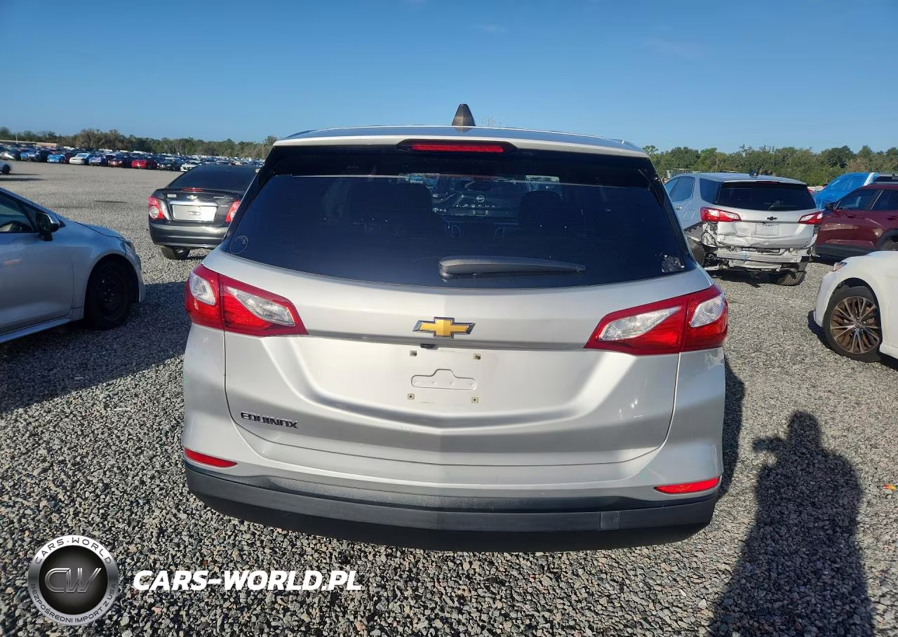 2019 Chevrolet Equinox Ls VIN:3GNAXHEV5KS640677 - 6