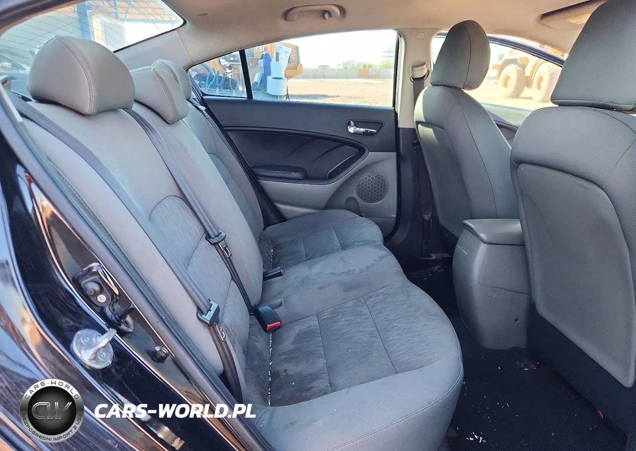 2016 Kia Forte Lx VIN:KNAFK4A6XG5449517 - 10