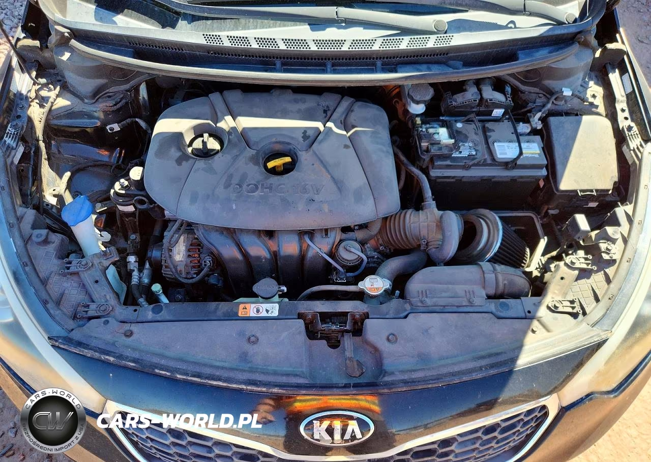 2016 Kia Forte Lx VIN:KNAFK4A6XG5449517 - 11