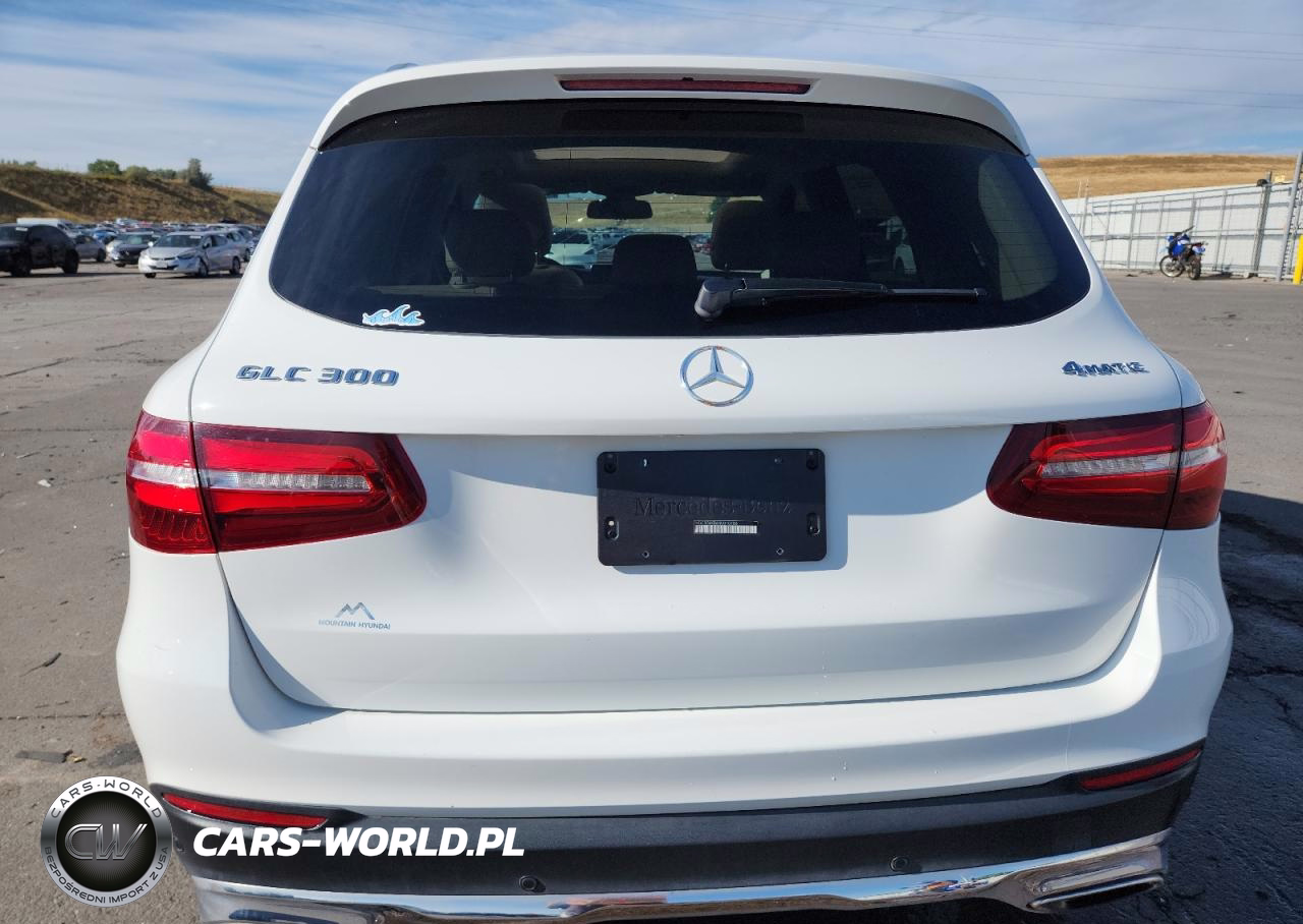 2017 Mercedes-Benz Glc 300 4Matic VIN:WDC0G4KB6HV010106 - 6