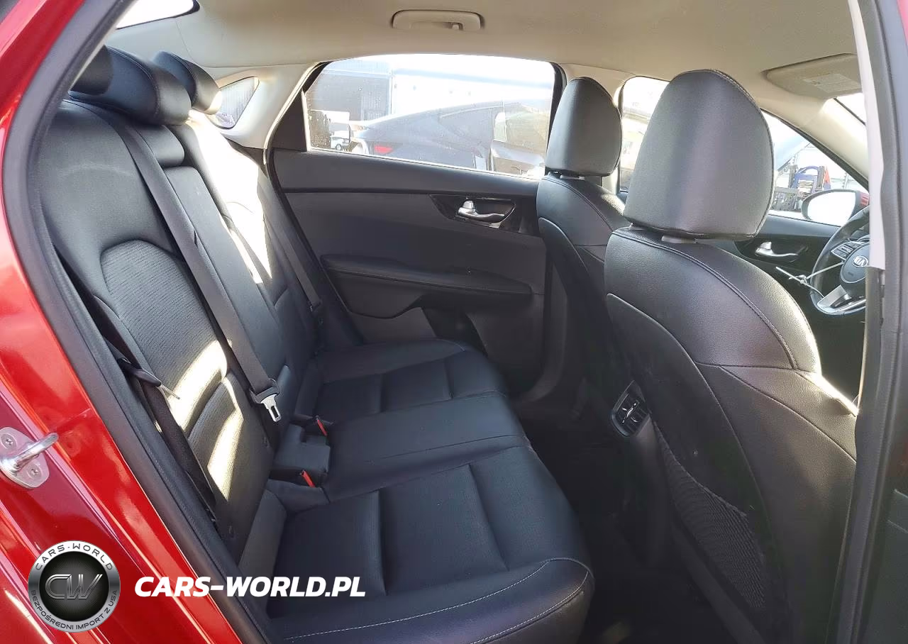 2019 Kia Forte Ex VIN:3KPF54AD9KE021086 - 10
