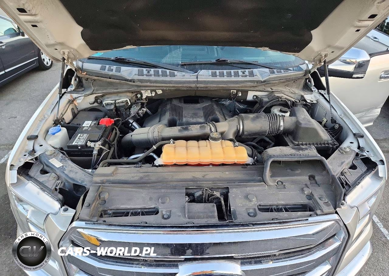 2017 Ford F150 Supercrew VIN:1FTEW1EG7HFC03444 - 11