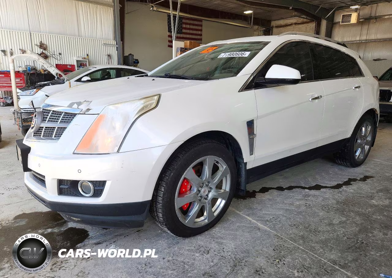 2010 Cadillac Srx Premium Collection VIN:3GYFNFEY3AS577736 - 1