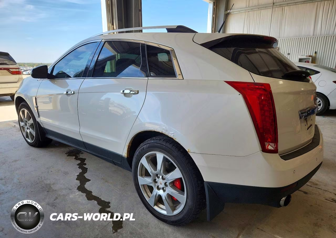 2010 Cadillac Srx Premium Collection VIN:3GYFNFEY3AS577736 - 2
