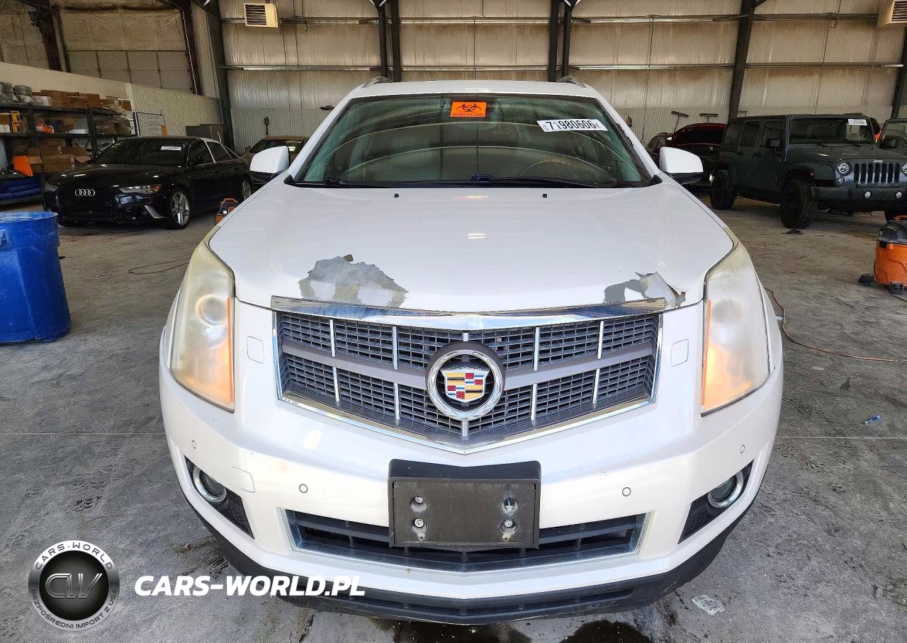 2010 Cadillac Srx Premium Collection VIN:3GYFNFEY3AS577736 - 5