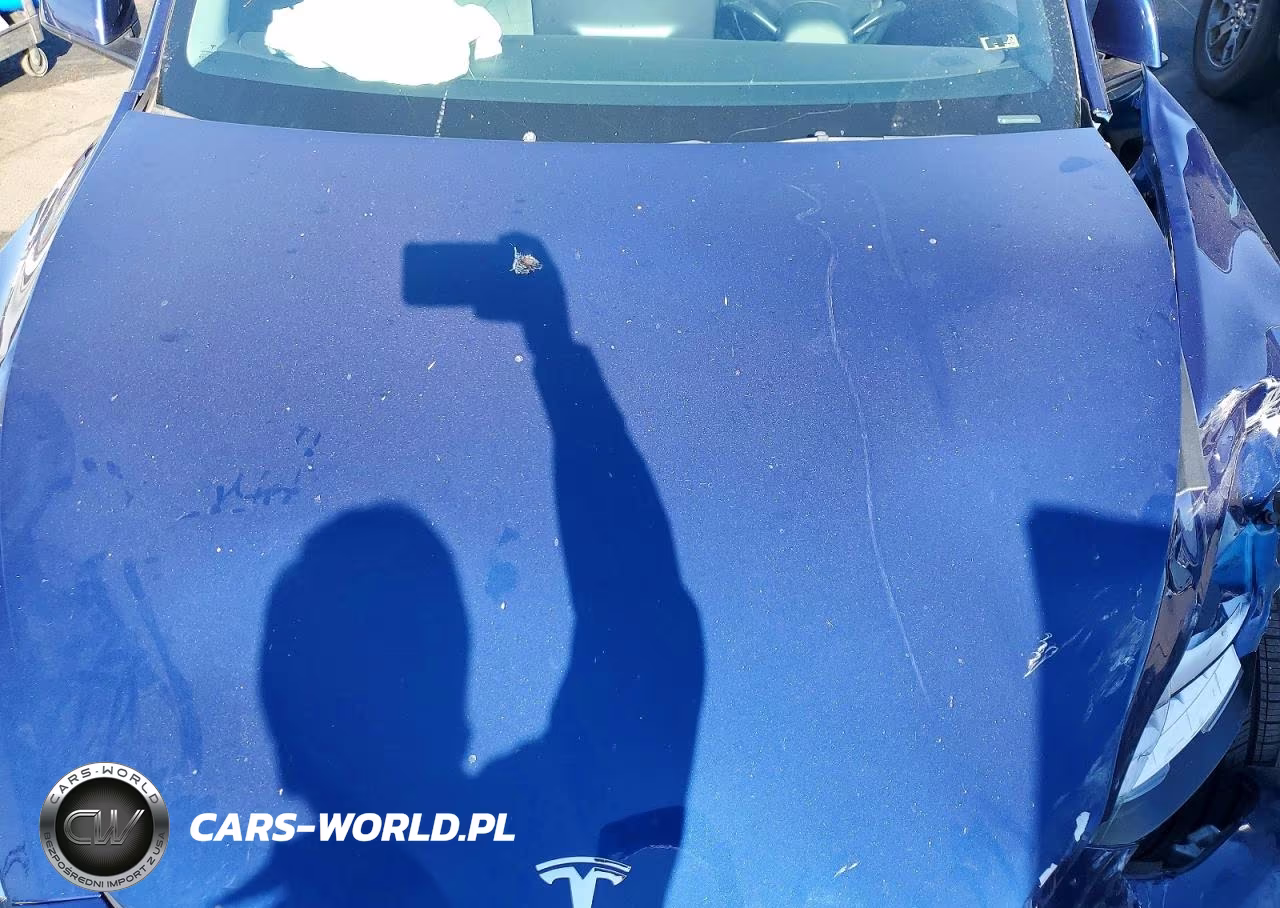 2021 Tesla Model Y VIN:5YJYGDEE9MF148214 - 12