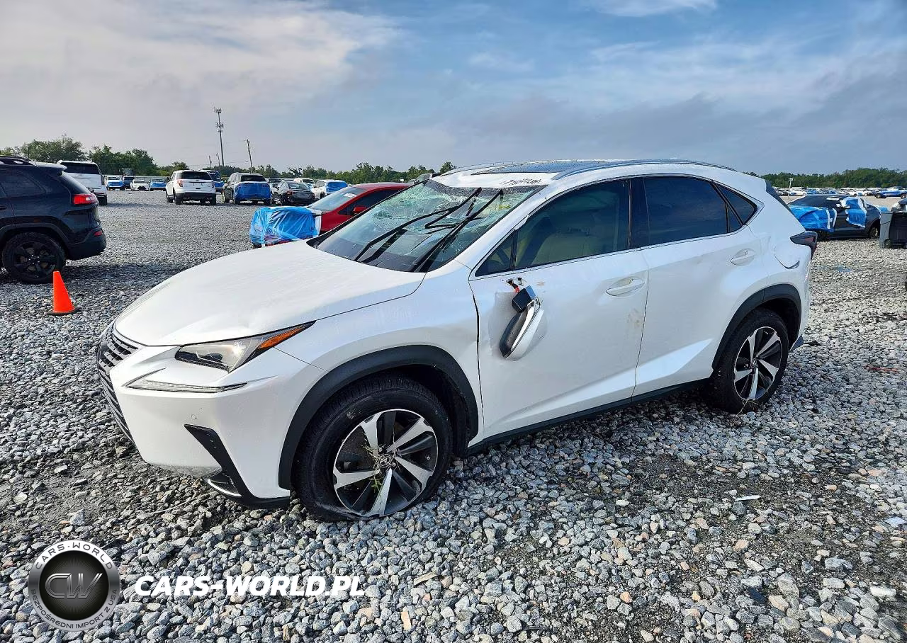 2020 Lexus Nx 300 VIN:JTJGARBZXL2176149 - 1