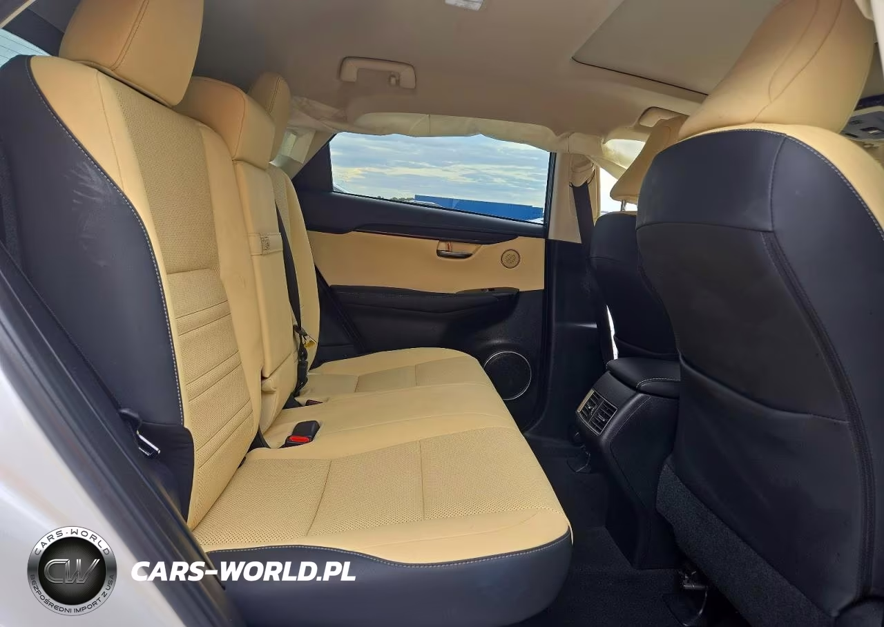 2020 Lexus Nx 300 VIN:JTJGARBZXL2176149 - 11