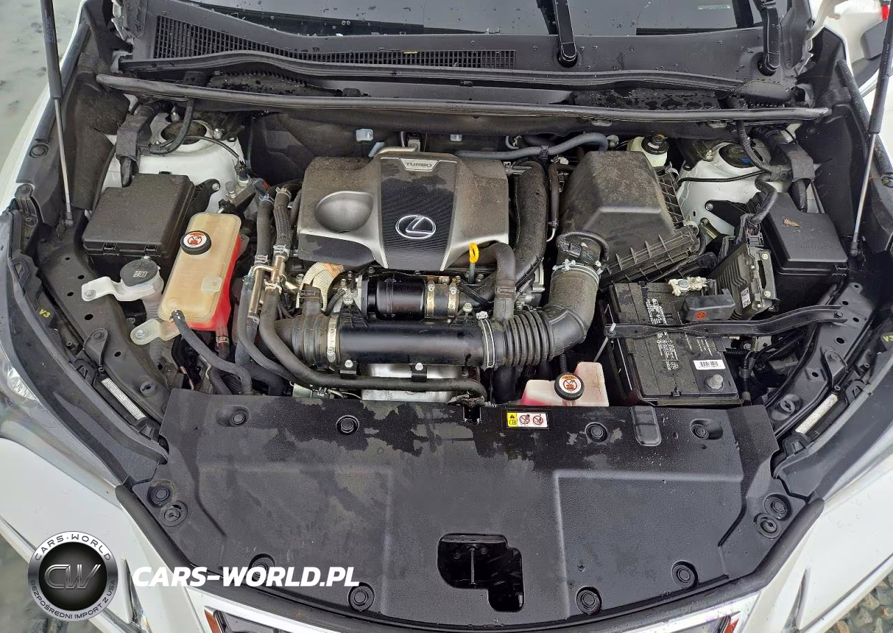 2020 Lexus Nx 300 VIN:JTJGARBZXL2176149 - 12