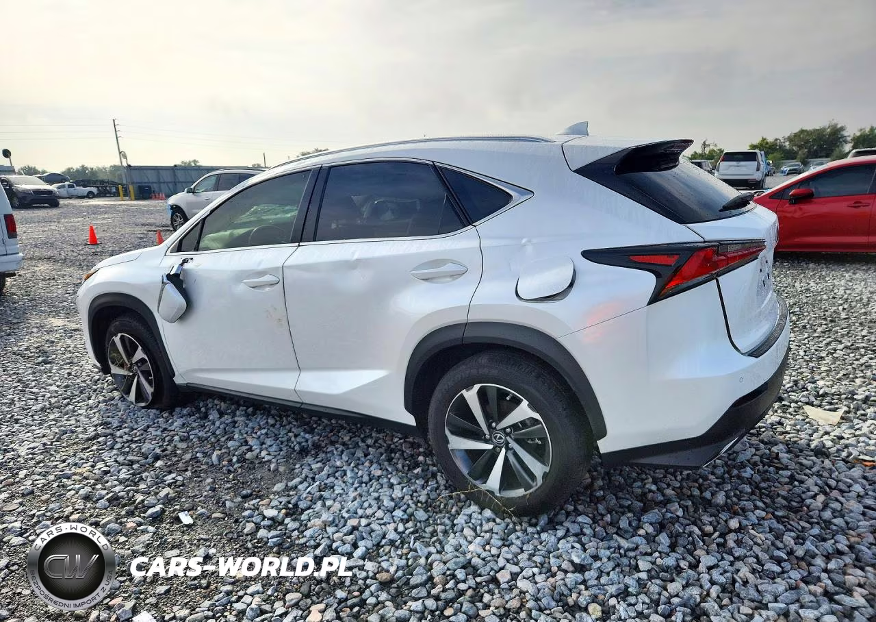 2020 Lexus Nx 300 VIN:JTJGARBZXL2176149 - 2