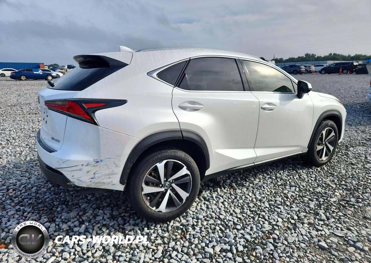 2020 Lexus Nx 300 VIN:JTJGARBZXL2176149 - 3
