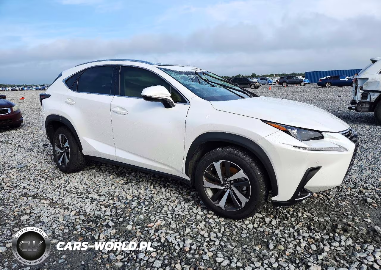 2020 Lexus Nx 300 VIN:JTJGARBZXL2176149 - 4