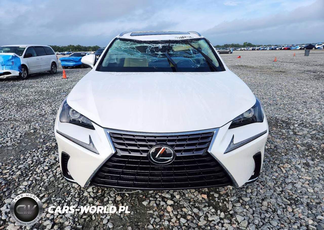2020 Lexus Nx 300 VIN:JTJGARBZXL2176149 - 5