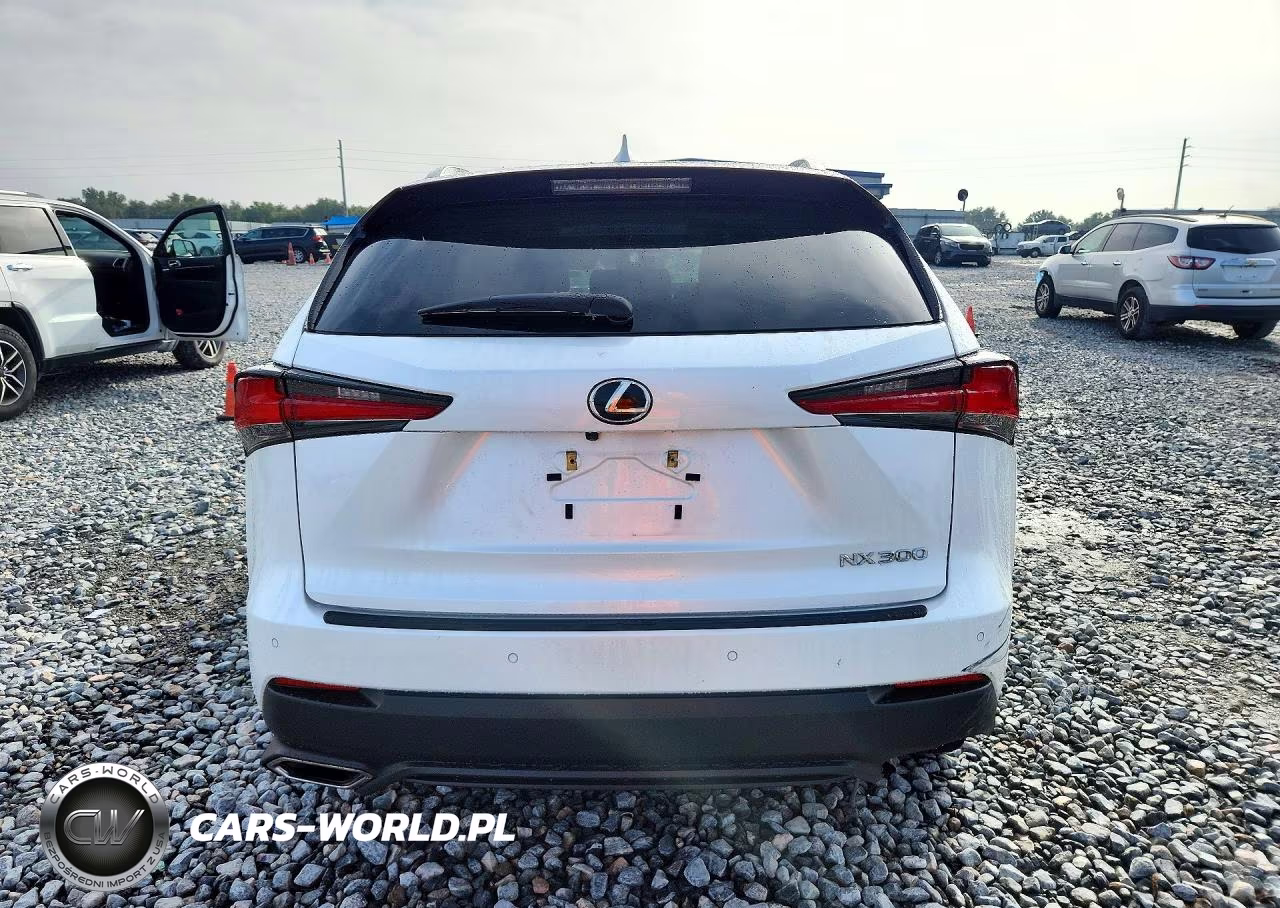 2020 Lexus Nx 300 VIN:JTJGARBZXL2176149 - 6