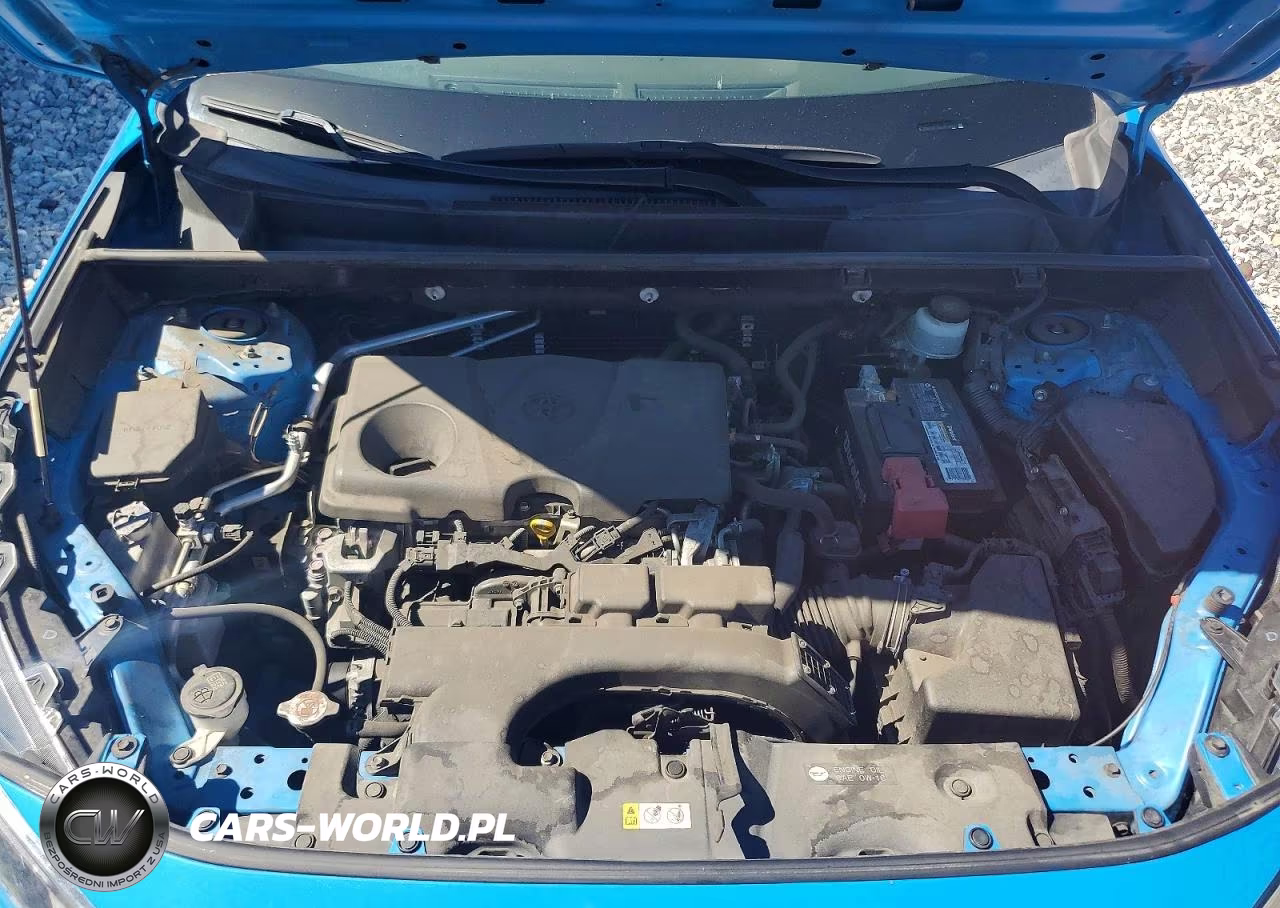 2019 Toyota Rav4 Le VIN:JTMH1RFV5KJ010012 - 12