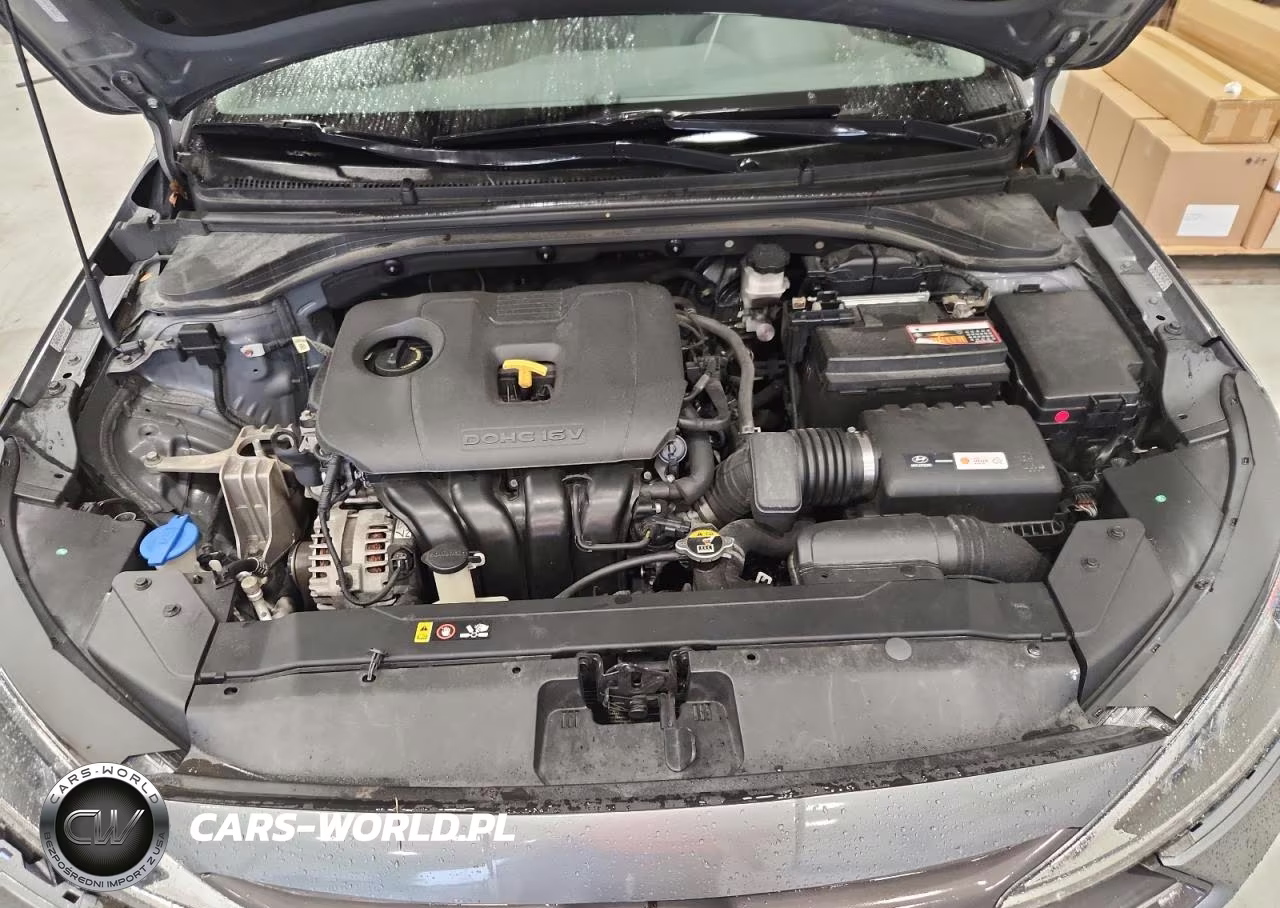 2019 Hyundai Elantra Sel VIN:KMHD84LF0KU781806 - 11