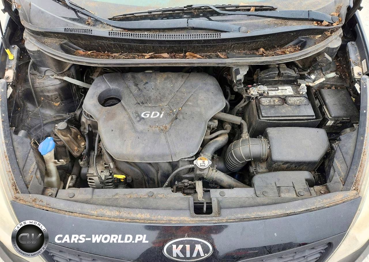 2014 Kia Rio Lx VIN:KNADM4A39E6385632 - 11