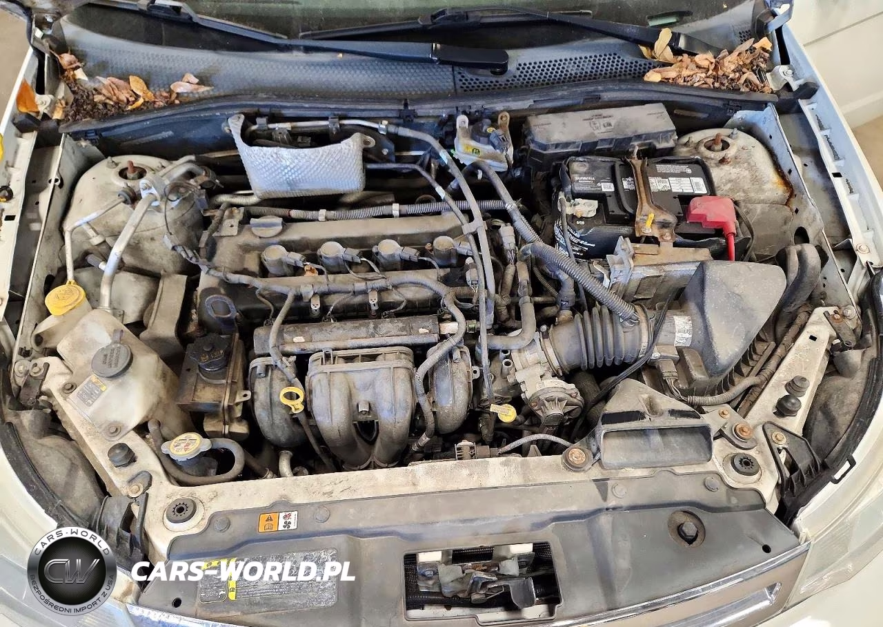 2010 Ford Focus Se VIN:1FAHP3FN9AW209115 - 11