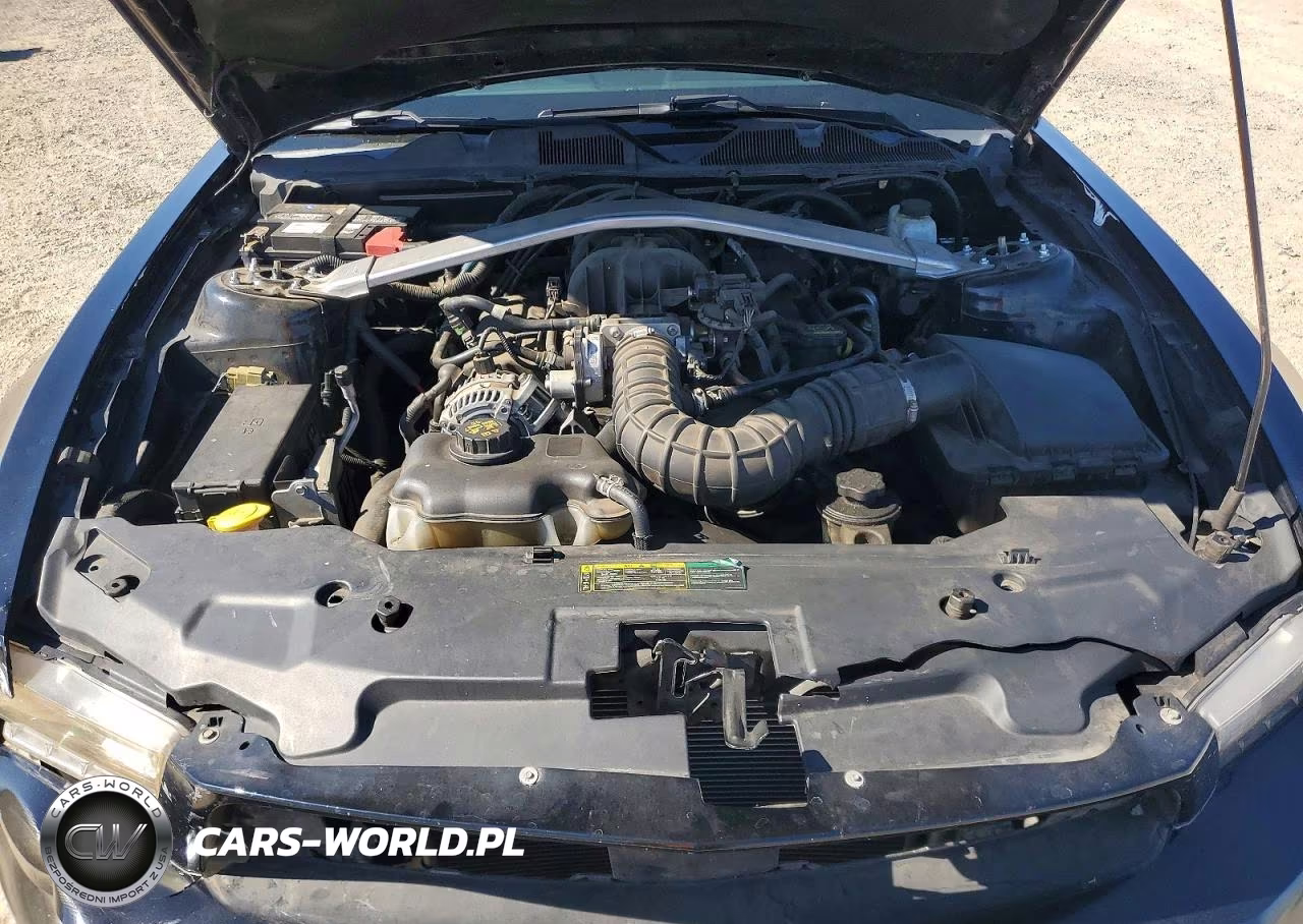 2010 Ford Mustang VIN:1ZVBP8ENXA5167507 - 11