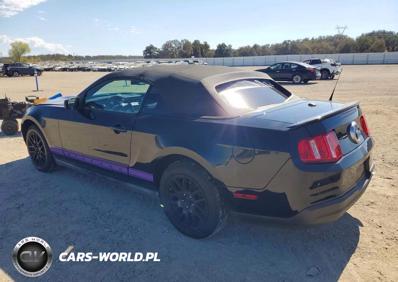 2010 Ford Mustang VIN:1ZVBP8ENXA5167507 - 2