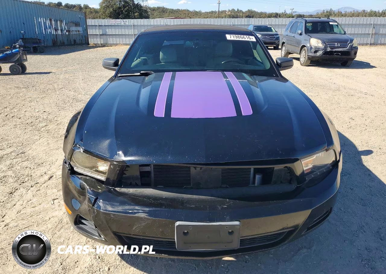 2010 Ford Mustang VIN:1ZVBP8ENXA5167507 - 5