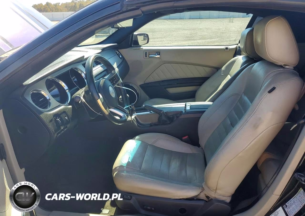 2010 Ford Mustang VIN:1ZVBP8ENXA5167507 - 7