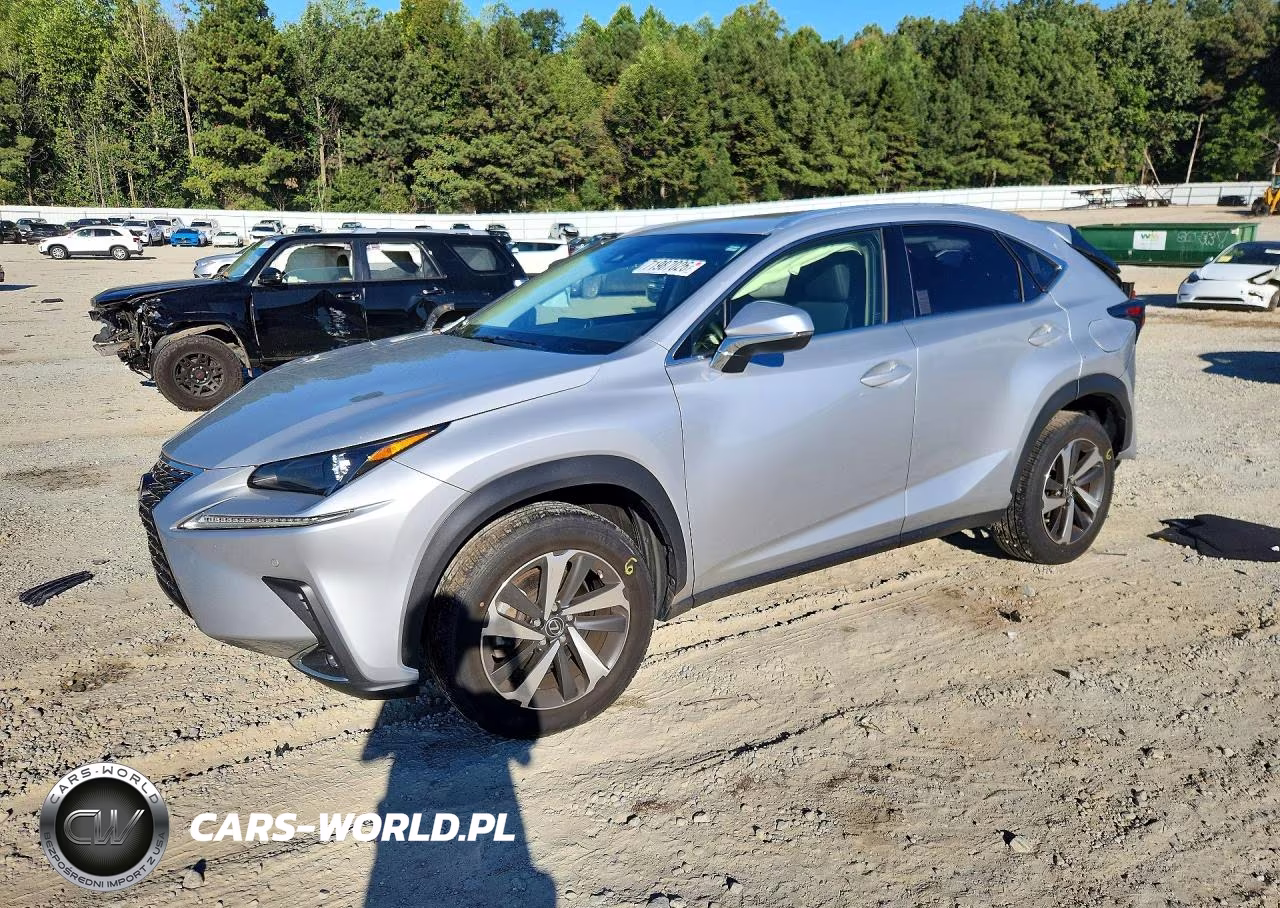 2019 Lexus Nx 300 Base VIN:JTJYARBZ3K2148356 - 1