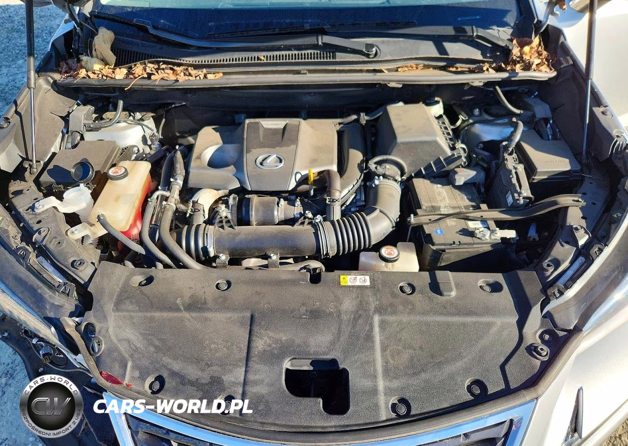 2019 Lexus Nx 300 Base VIN:JTJYARBZ3K2148356 - 12