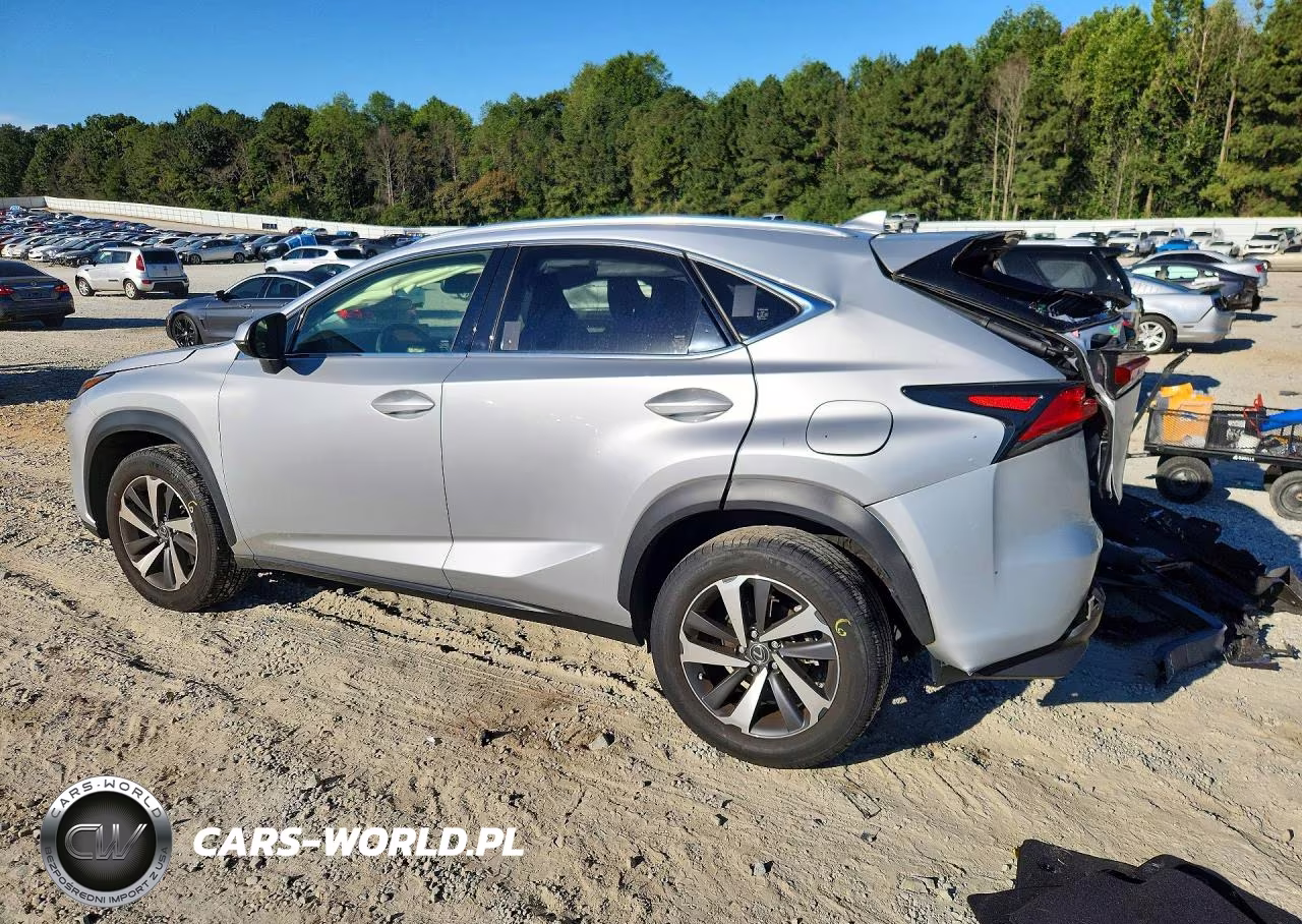 2019 Lexus Nx 300 Base VIN:JTJYARBZ3K2148356 - 2
