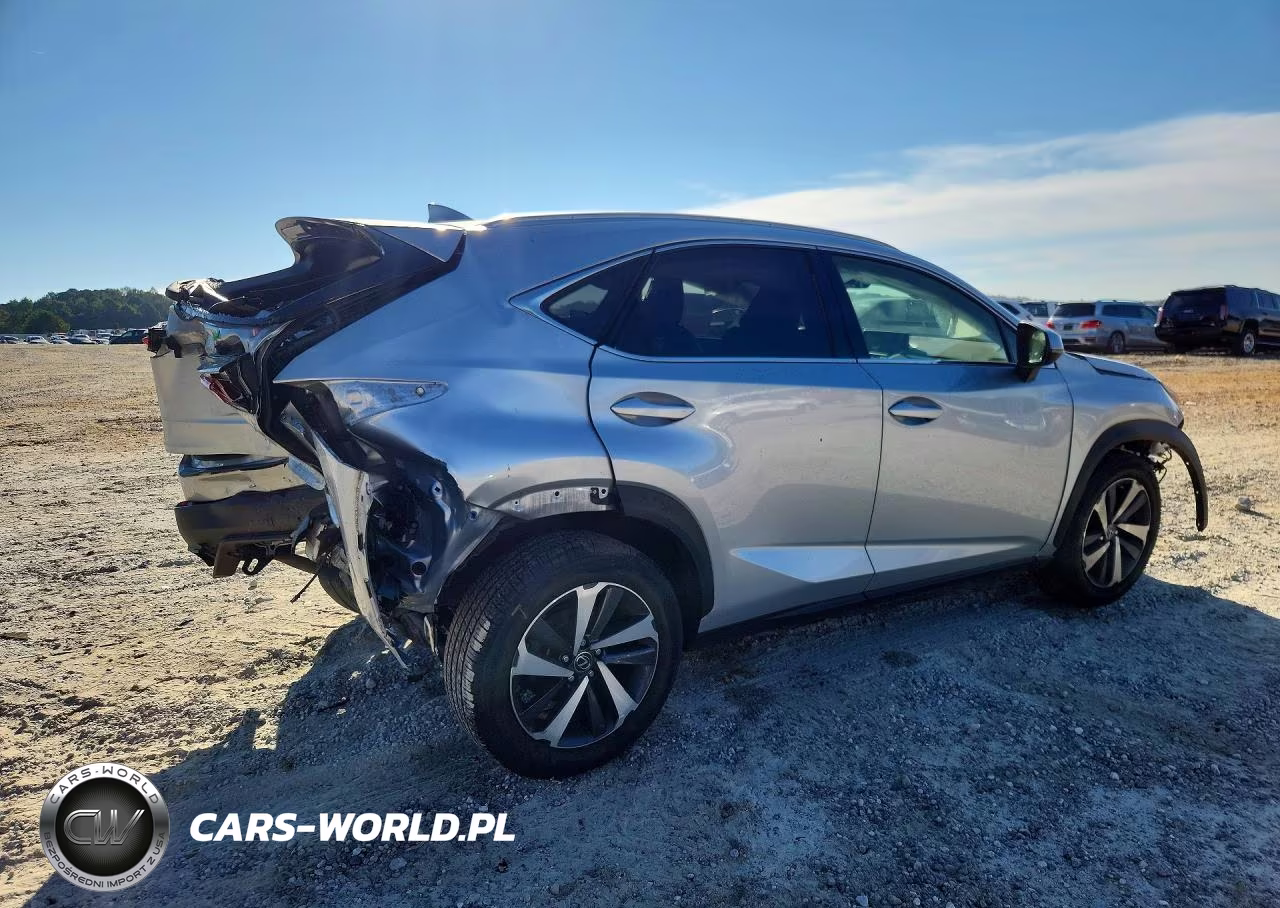 2019 Lexus Nx 300 Base VIN:JTJYARBZ3K2148356 - 3