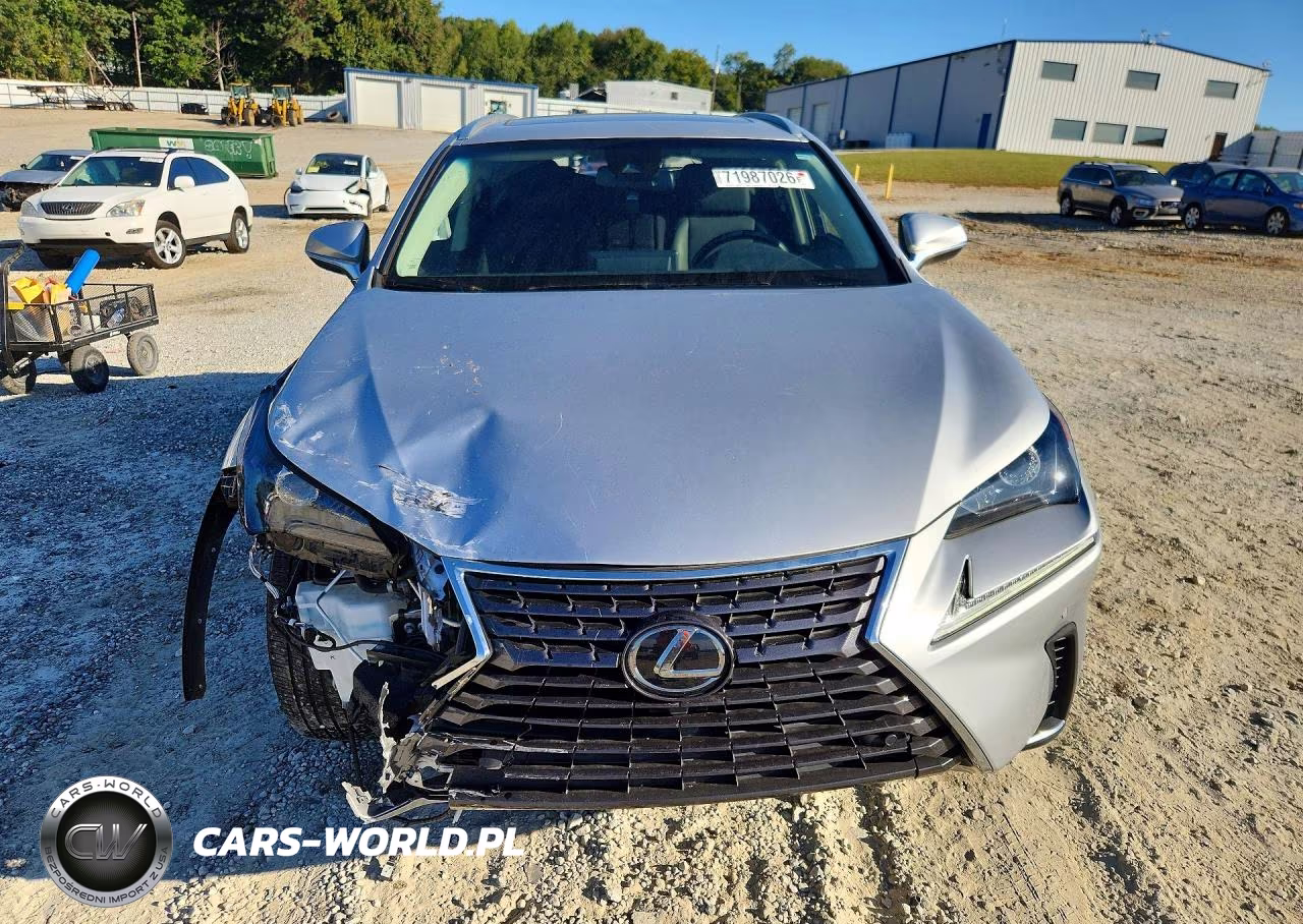 2019 Lexus Nx 300 Base VIN:JTJYARBZ3K2148356 - 5
