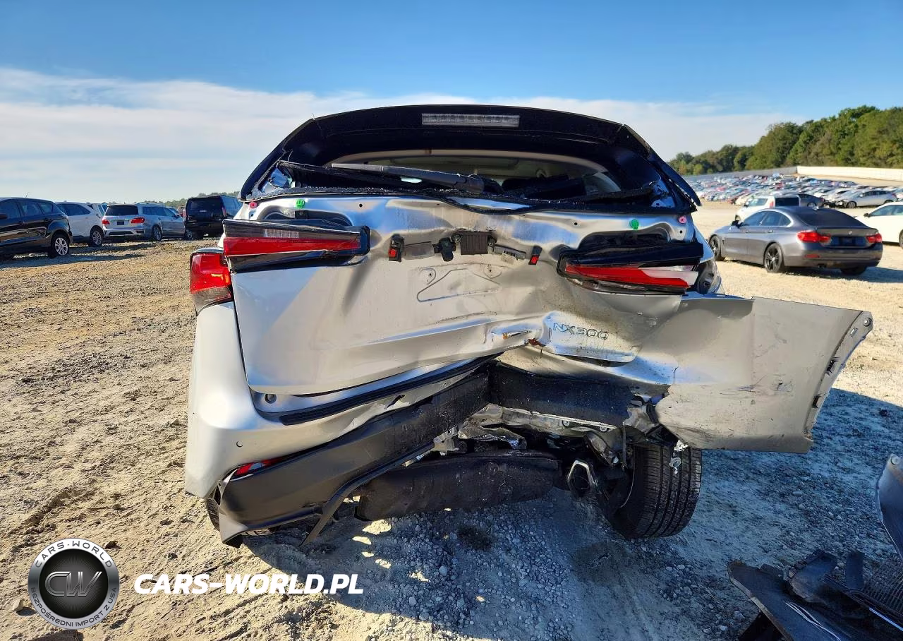 2019 Lexus Nx 300 Base VIN:JTJYARBZ3K2148356 - 6