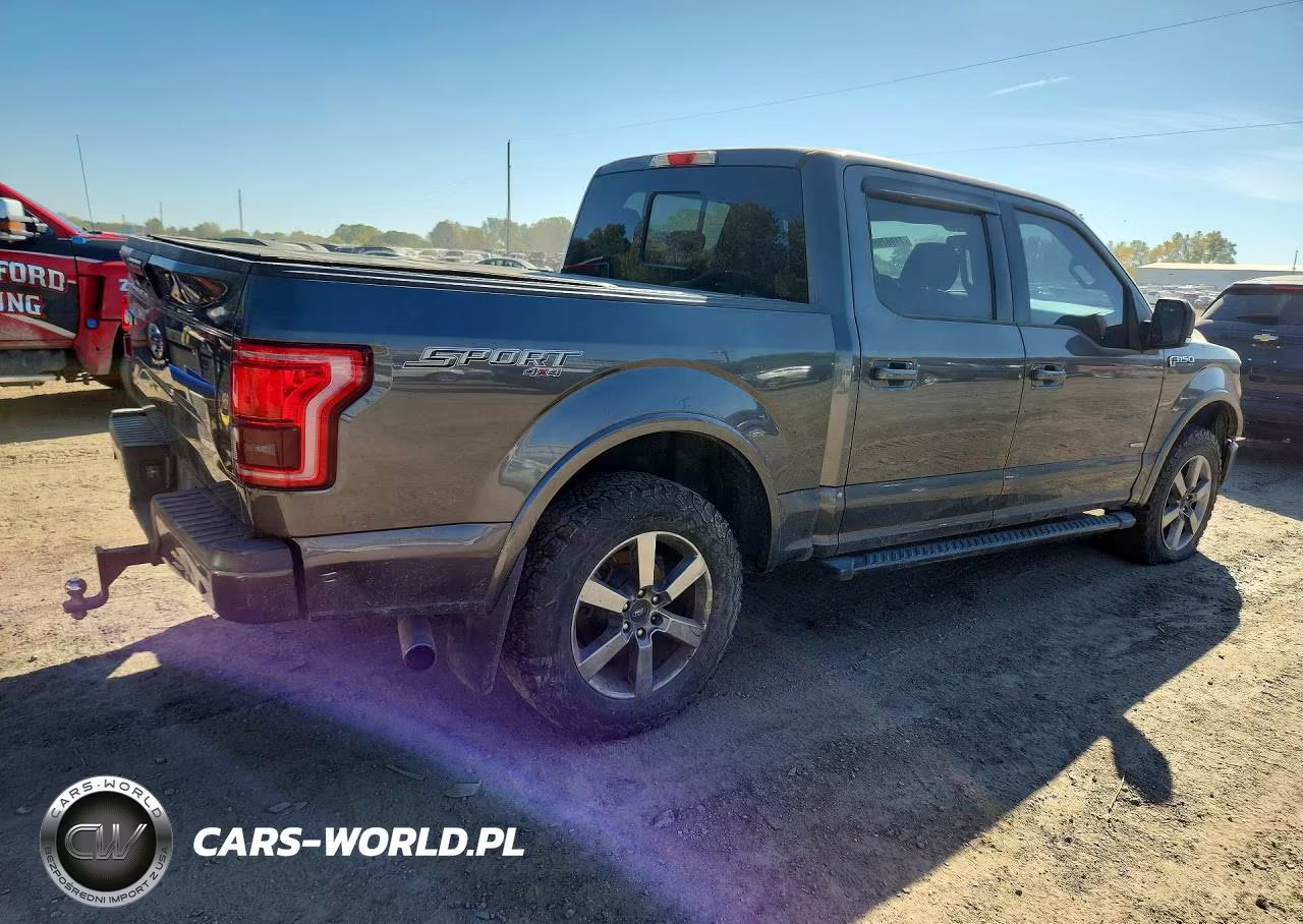2016 Ford F150 Supercrew VIN:1FTEW1EG5GFC91859 - 3