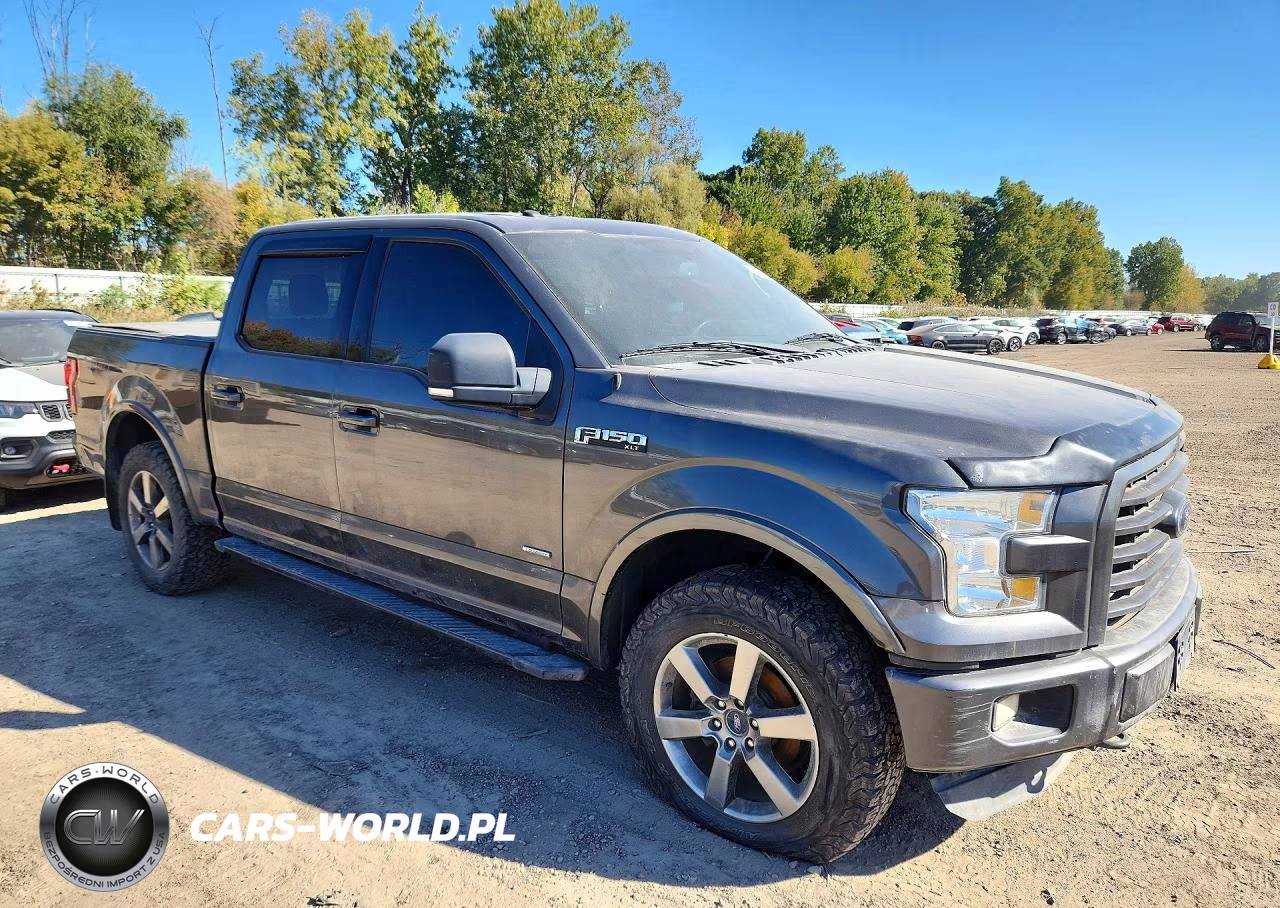 2016 Ford F150 Supercrew VIN:1FTEW1EG5GFC91859 - 4