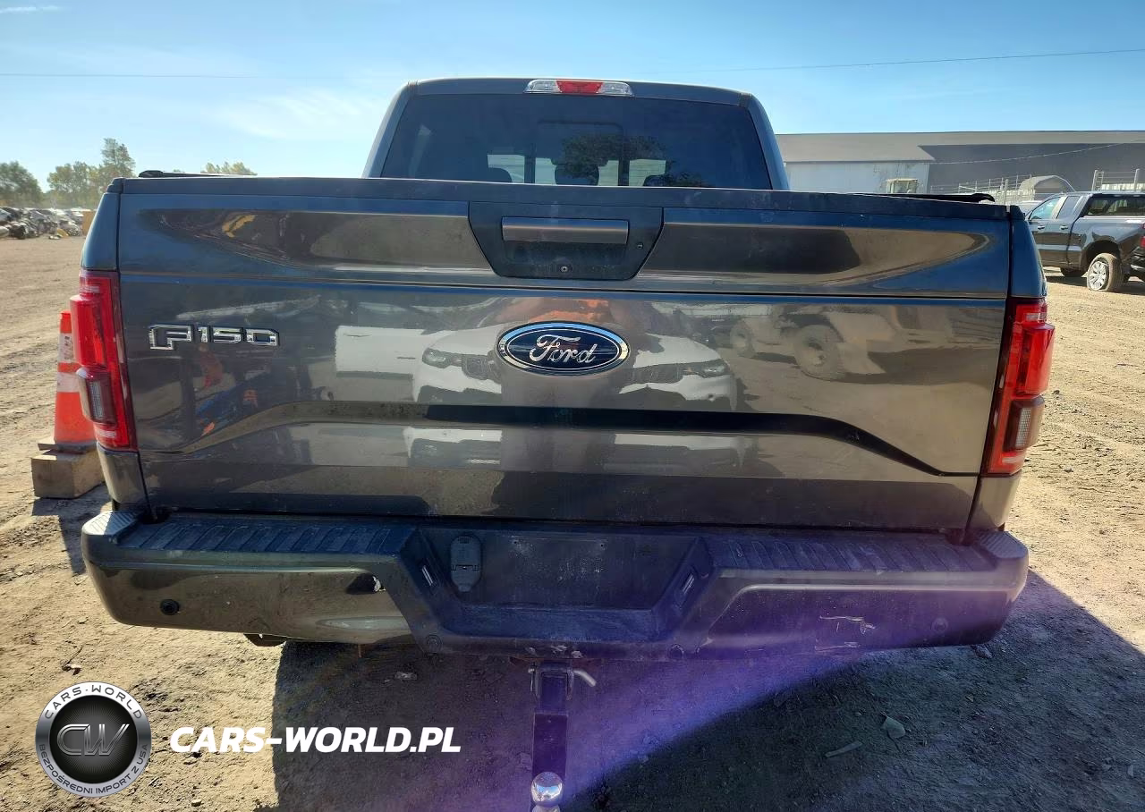 2016 Ford F150 Supercrew VIN:1FTEW1EG5GFC91859 - 6