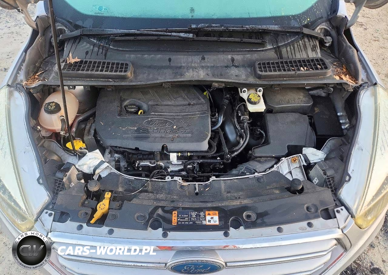 2017 Ford Escape Se VIN:1FMCU0GD2HUA46780 - 12