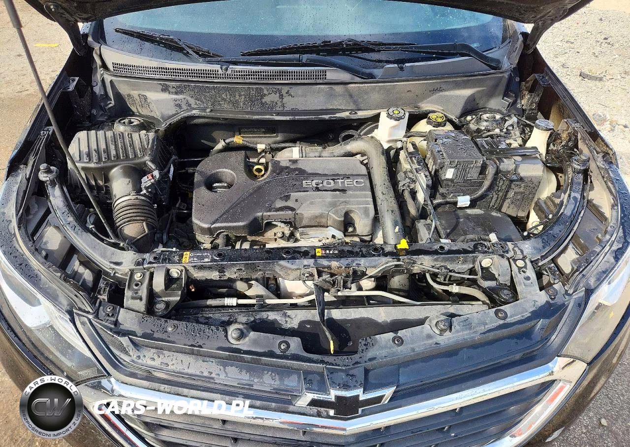 2019 Chevrolet Equinox Lt VIN:2GNAXKEV7K6167330 - 12