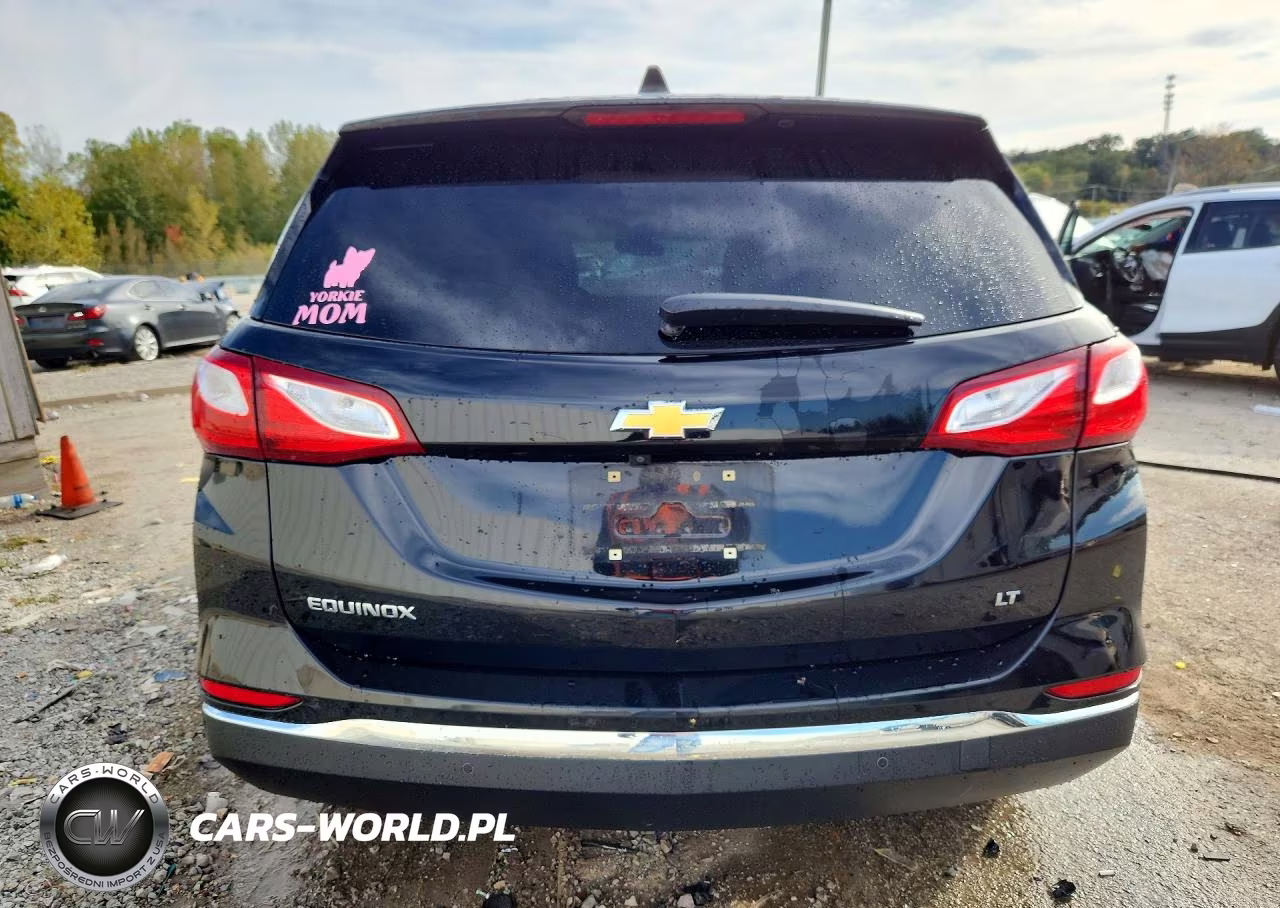 2019 Chevrolet Equinox Lt VIN:2GNAXKEV7K6167330 - 6