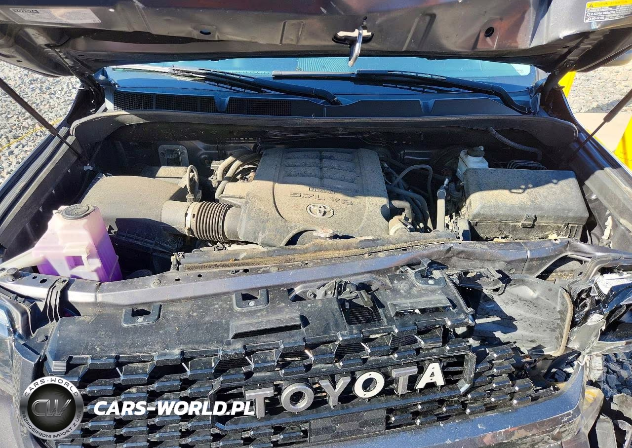 2021 Toyota Tundra Trd Pro VIN:5TFDY5F11MX046036 - 11