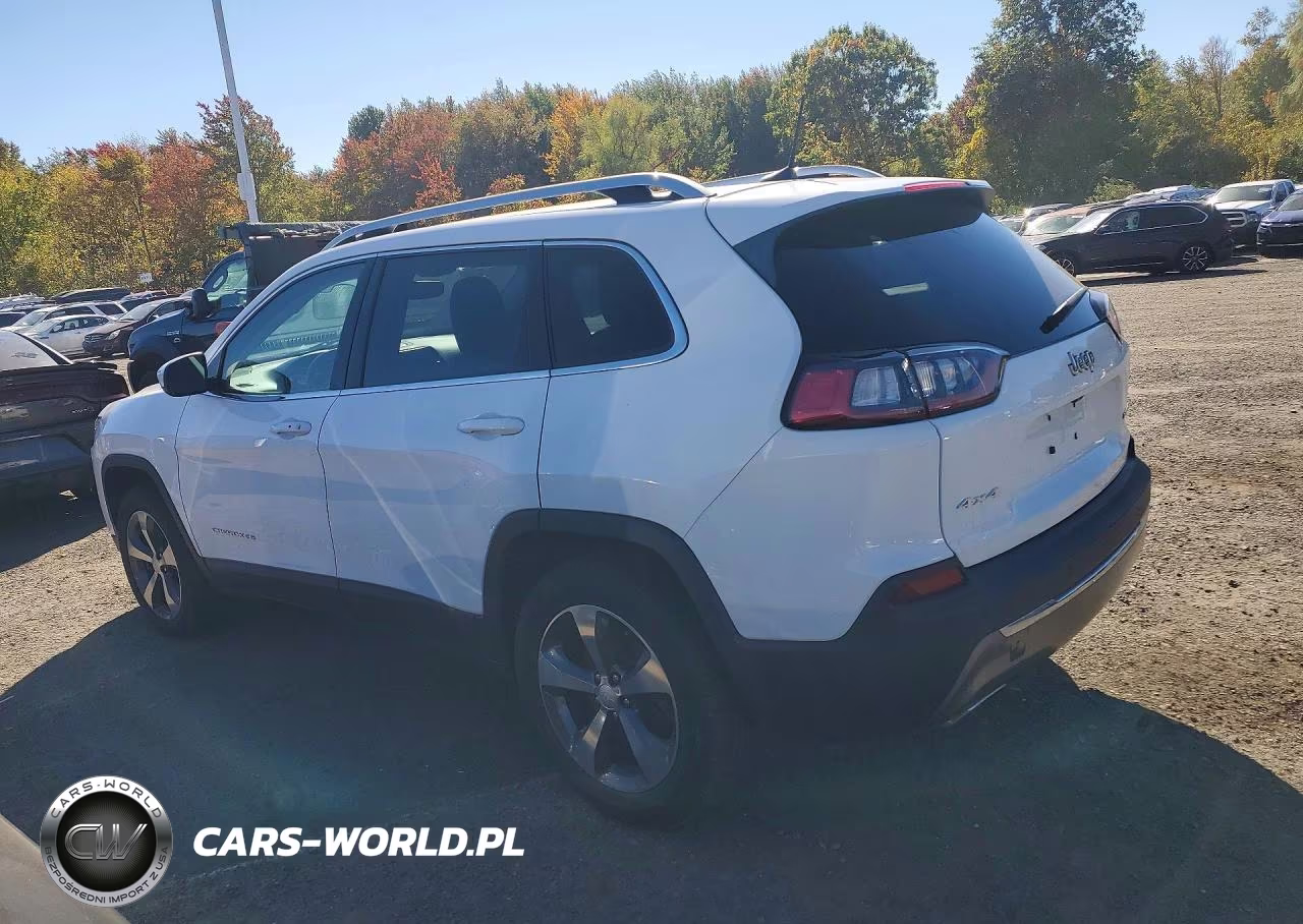 2019 Jeep Cherokee Limited VIN:1C4PJMDN5KD342077 - 2