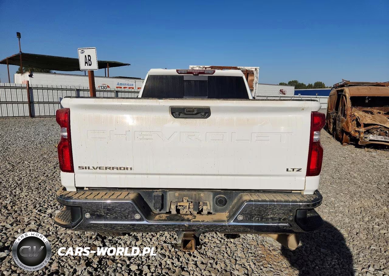2020 Chevrolet Silverado K2500 Heavy Duty Ltz VIN:1GC4YPEY5LF232256 - 6