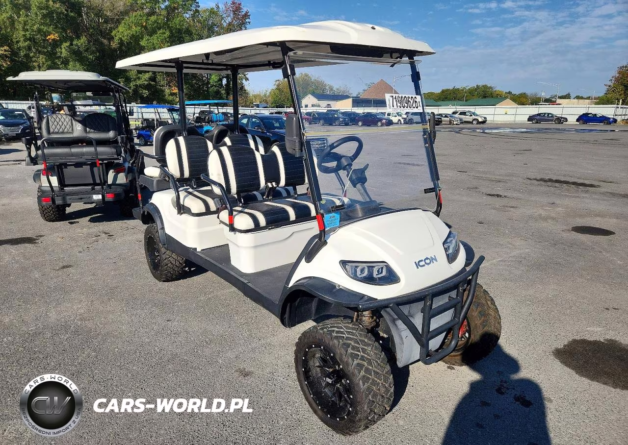 2020 Icon Golf Cart – zdjęcie 1 z 10