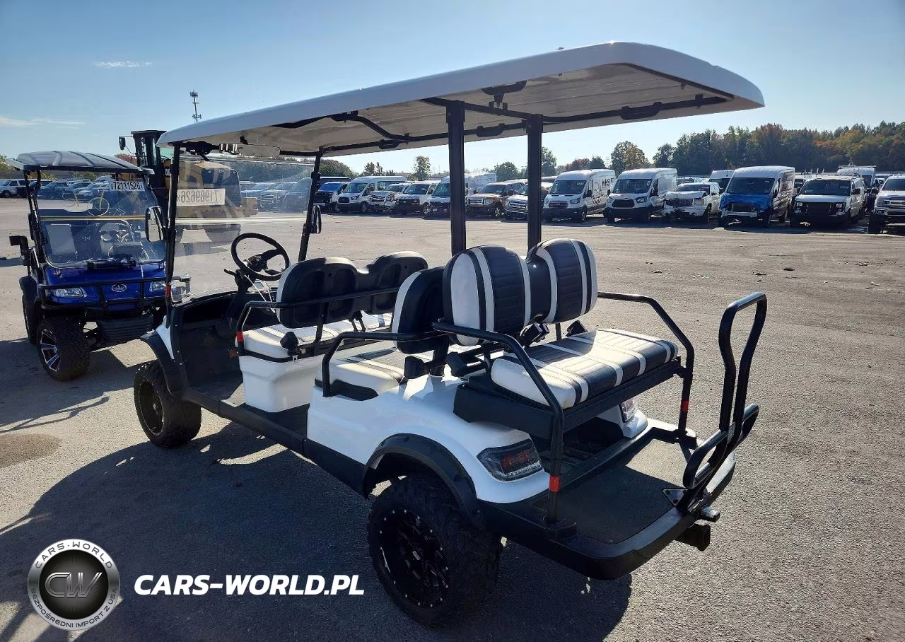 2020 Icon Golf Cart VIN:1Z96L4CAXLT551533 - 3