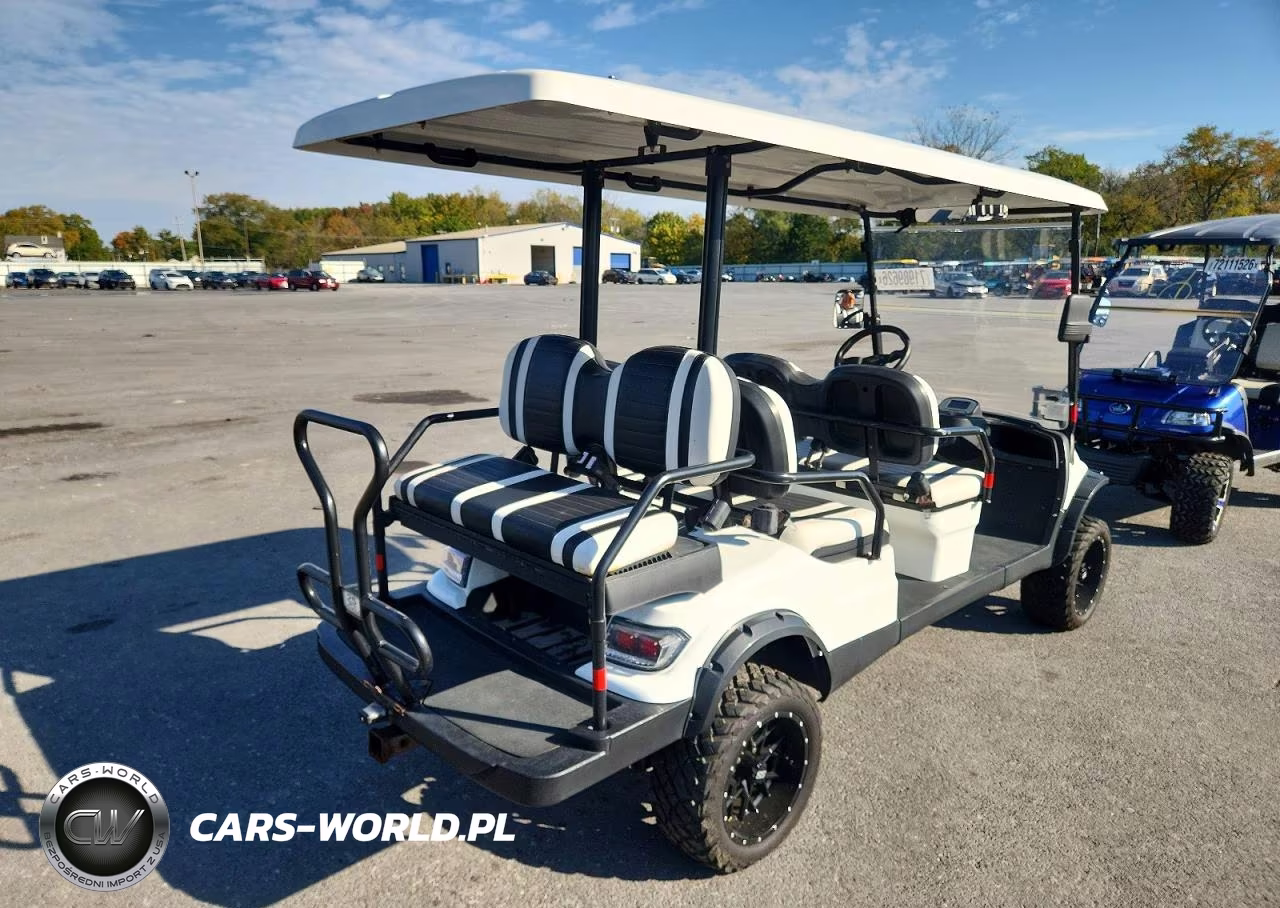2020 Icon Golf Cart VIN:1Z96L4CAXLT551533 - 4