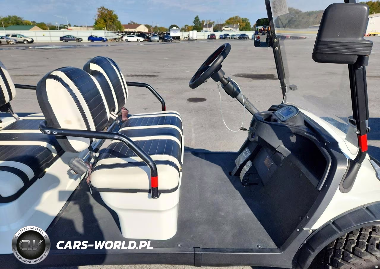 2020 Icon Golf Cart VIN:1Z96L4CAXLT551533 - 5