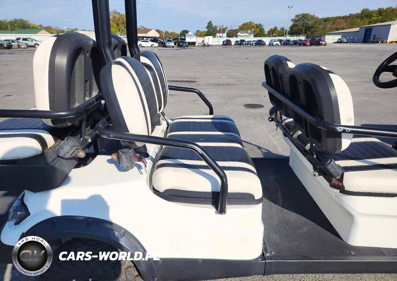 2020 Icon Golf Cart VIN:1Z96L4CAXLT551533 - 6