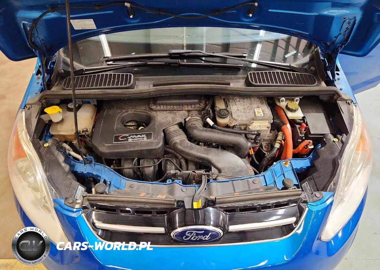 2013 Ford C-Max Premium VIN:1FADP5CU8DL507537 - 11