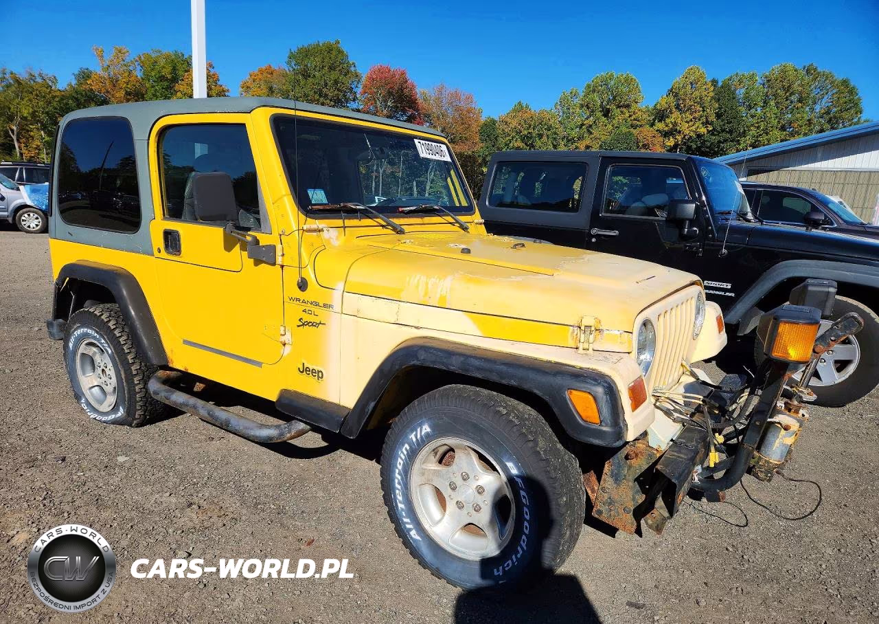 2001 Jeep Wrangler - Tj Sport VIN:1J4FA49S11P349822 - 4